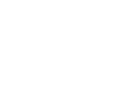 蒲公英