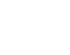 蒲公英