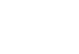 蒲公英