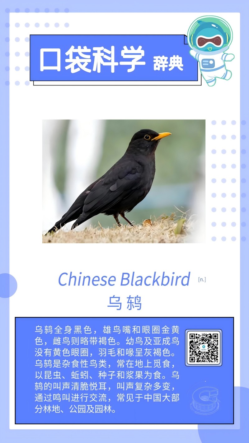 口袋科学词典.jpg