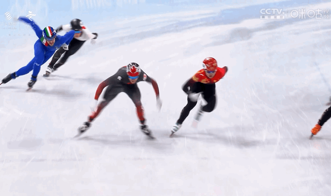 5.gif 5.gif
