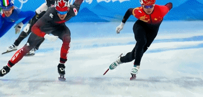 7.gif 7.gif