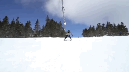 5.gif