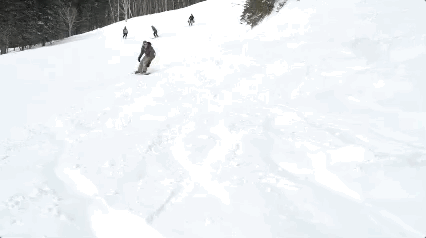 9.gif
