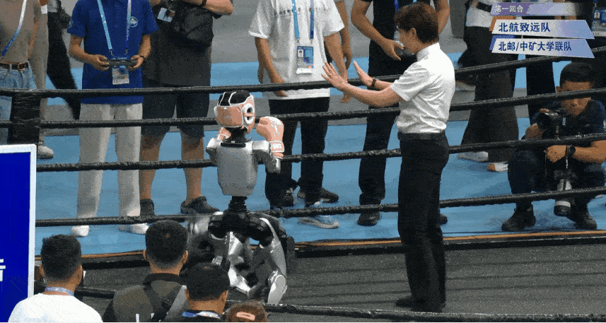 拳击.gif