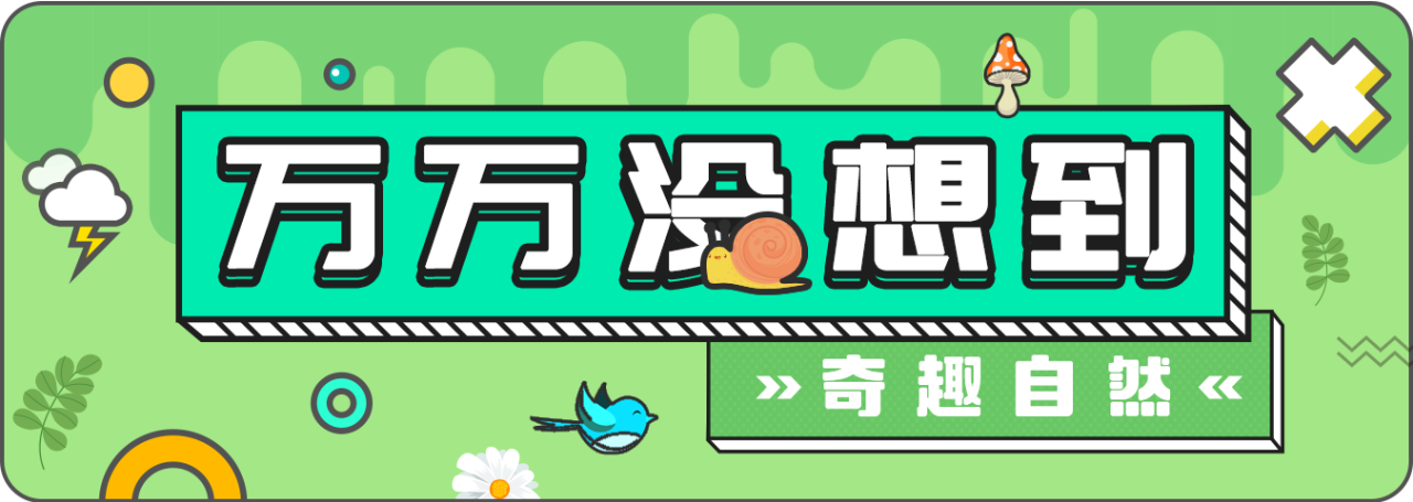 自然.png