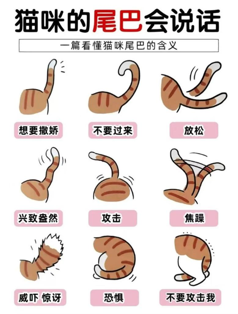 微信图片_20260324092110.png