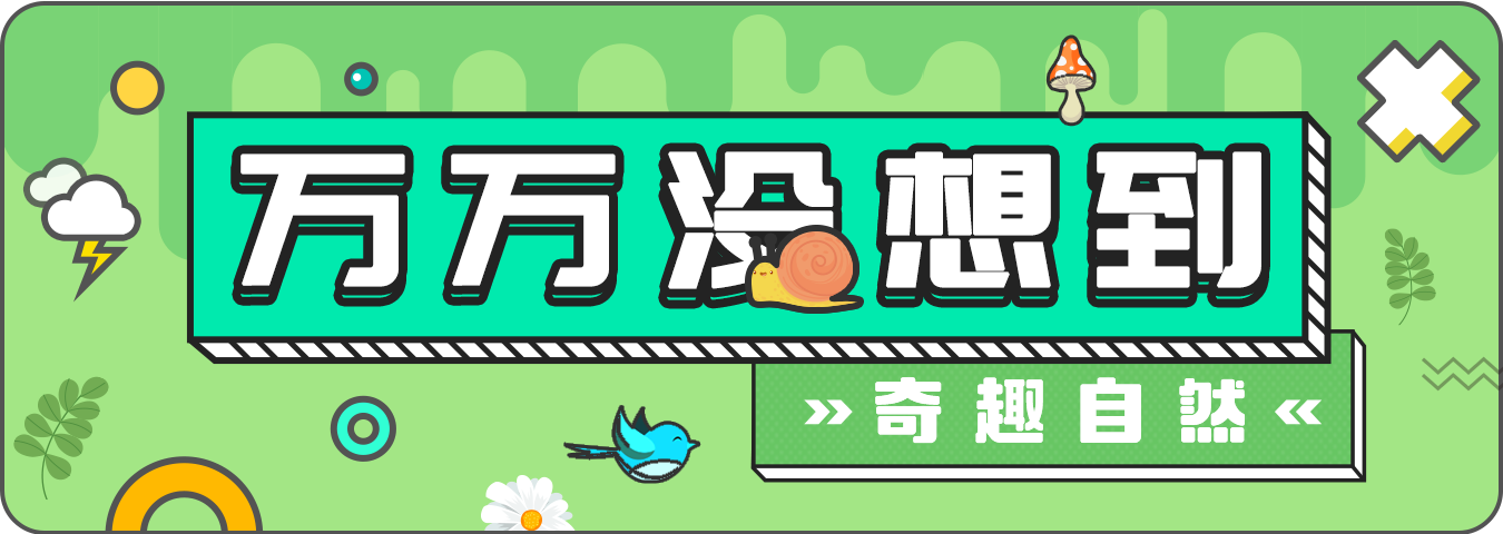 4.14.1.png