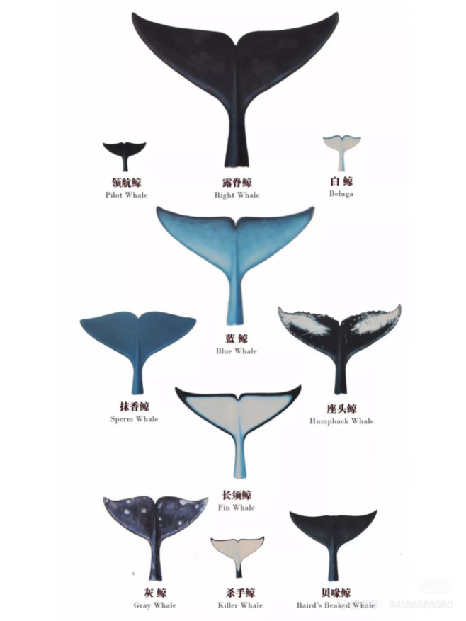 640 (1).png 640 (1).png